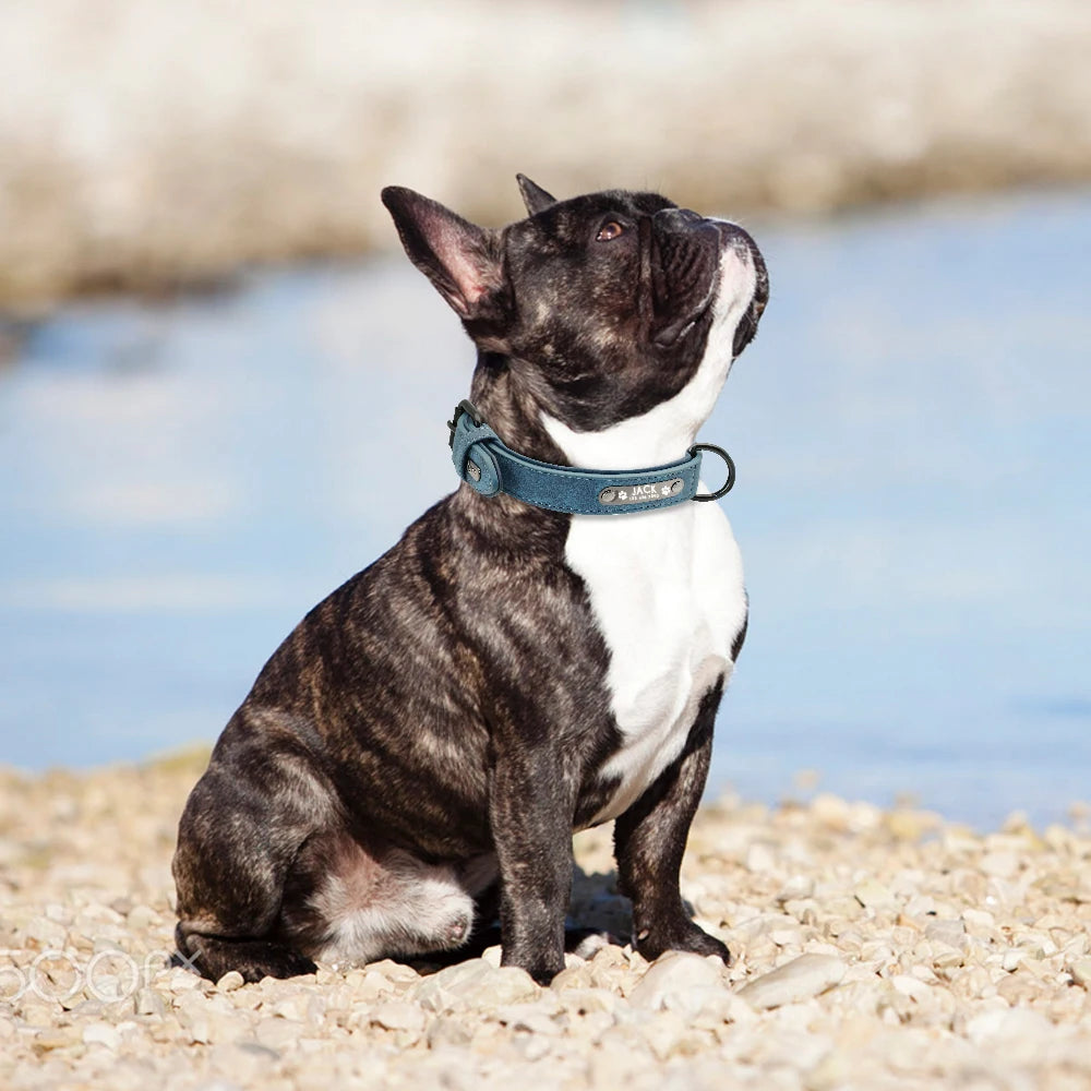 Fellkönige - Personalisiertes Hundehalsband aus Leder