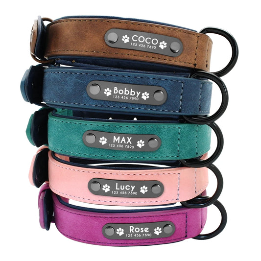 Fellkönige - Personalisiertes Hundehalsband aus Leder